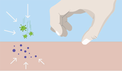 Immune cells send inflammatory signals to the surface